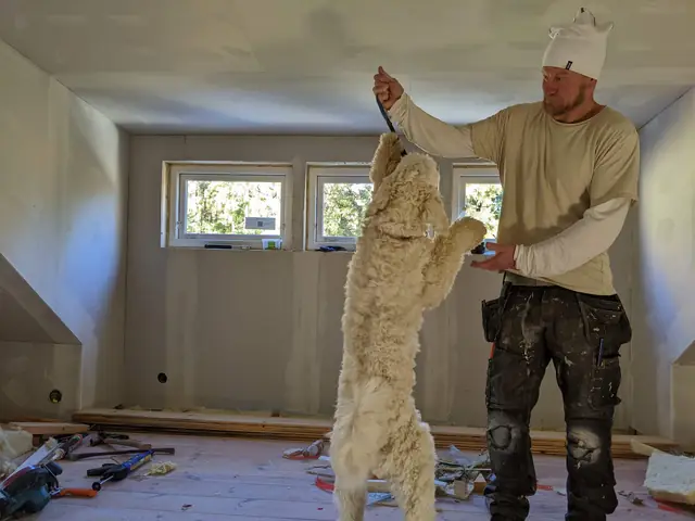 Invändigt bygg- och renoveringsarbete utfört av Constructor